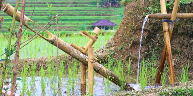 Water Conservation