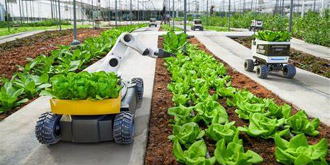 Modern Farming